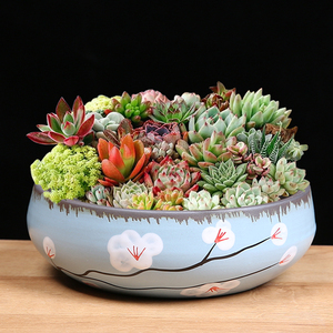 香缘瓷韵坊专卖店天猫花盆陶瓷特价家用大号清仓大口径简约韩式肉肉