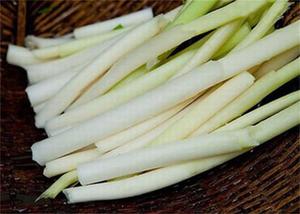 茭白头 茭儿菜 雄茭白 野生茭白 新鲜蒲菜 蒲笋 蒲儿菜 时令蔬菜