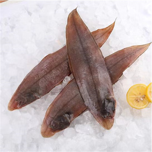 新鲜龙利鱼冷冻海鲜海鱼踏板鱼舌头鱼5斤10条/斤顺丰包邮