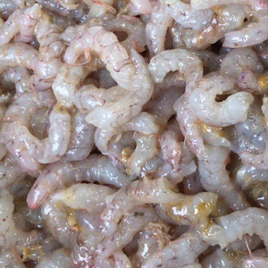 山东烟台莱州渤海湾野生海捕鹰抓鹰爪虾立虾蛎虾手剥虾仁新鲜水产