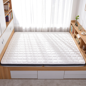 榻榻米垫子软硬两用地炕儿童床垫定做椰棕垫乳胶垫踏踏米垫可折叠