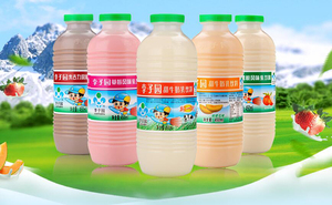 450ml*12瓶李子园甜牛奶草莓原味朱古力哈密瓜儿童学生营养早餐奶