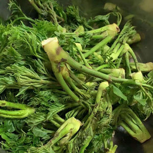 【龙芽菜】龙芽菜品牌,价格 - 阿里巴巴