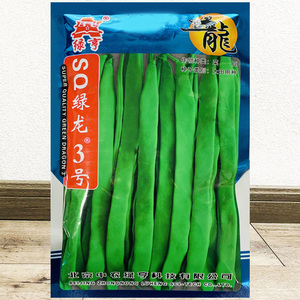 绿龙3号扁豆种子四季宽扁王条架豆菜芸豆籽 早熟春秋季无筋刀豆孑