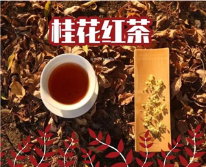 汤记桂花红茶汤记高山桂花红茶传统窨制花茶桂花茶官方旗舰店