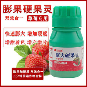 草莓膨大剂草莓硬果着色增甜防畸形曹氏天正草莓叶面肥膨大硬果灵