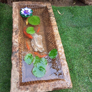 猪食槽石头户外