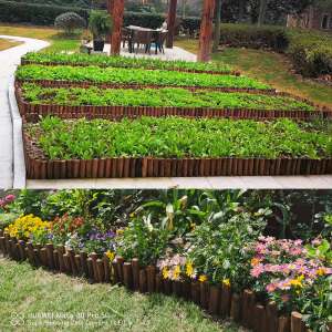 防腐木栅栏户外围栏护栏庭院室外菜园隔断碳化小木桩装饰花园篱笆