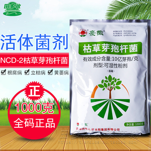 tb9150377557淘宝蔬菜幼苗辣椒苗圣女千禧小番苗西红柿苗茄子菜苗黄