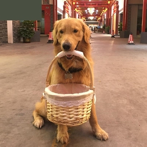 优质狗狗叼的篮子金毛大型狗叼篮子宠物狗篮子拉布拉多训狗用品