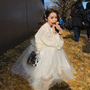 春秋白色蓬蓬纱裙女半身秋冬款网纱半身裙仙女超仙森系显瘦垂感