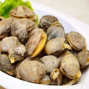 a徐彪淘宝500g 北京闪送 新鲜花甲 海鲜鲜活 花蛤 蛤蜊 花蚬子 贝类