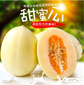 东方蜜瓜甜瓜脆瓜5斤包邮应当季新鲜时令水果沙河蜜甜瓜现摘顺丰