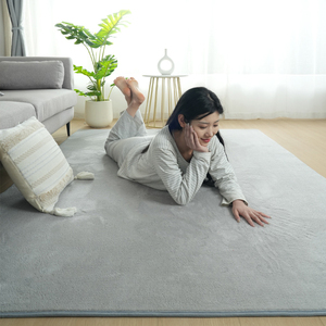 地毯客厅高级感茶几毯纯色整铺房间短绒床边毯加厚地垫主卧床边垫