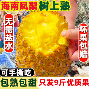 海南金钻凤梨9斤精选树上熟当季热带新鲜水果非菠萝手撕凤梨整箱