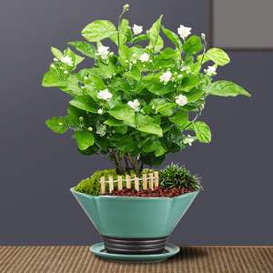 陶瓷哥窑茉莉花专用中号花盆开片紫砂粗陶透气桌面个性创意简约