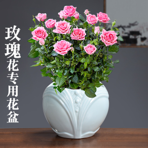 玫瑰花月季专用陶瓷青瓷花盆绿植釉下手彩个性简约中式透气带托盘