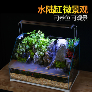 微景观水陆缸生态缸斜口超白缸植物造景骨架雾化雨林缸鱼缸养鱼