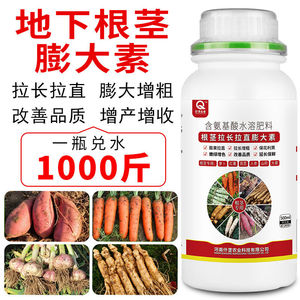 地下猛长地下根茎膨大素药材生姜大蒜土豆红薯莲藕莴笋增产膨大剂
