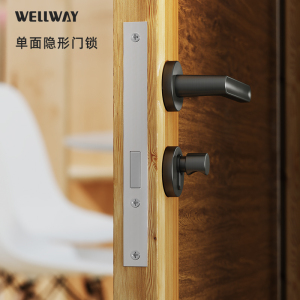 隐形门锁无钥匙