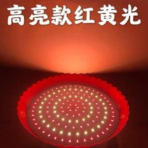 新款 led熟食生鲜灯市场卤菜烧鸡鸭凉菜板栗卤肉灯烧腊灯红黄光2