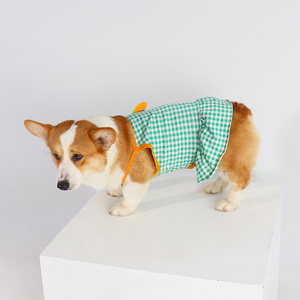 2022新款夏季柯基裙子吊带裙宠物小型犬柴犬狗狗衣服夏装卡通可爱