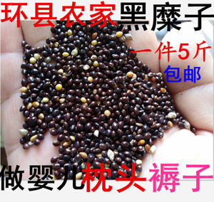 黑糜子 黍子枕头填充材料农家新粮种子坐垫婴儿枕头料芯鸟食