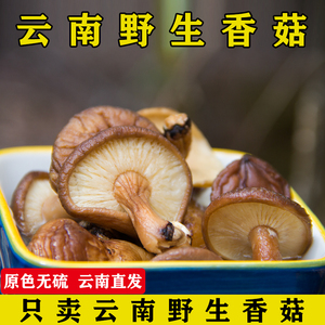 云南野生农家香菇干货100g包邮优质小香菇散装无硫大香菇特产炖汤