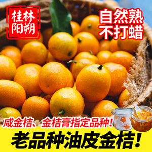 广西桂林老品种油皮金桔鲜果阳朔传统酸甜麻皮小金橘咸金桔酱专用