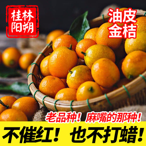 阳朔油皮金桔鲜果广西桂林特产麻嘴金橘新鲜小桔子老品种熬酱专用