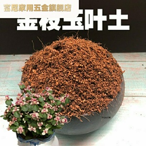 盆栽肥料专用土土花土金枝玉叶金枝玉叶酸性种植沙质土绿植营养土