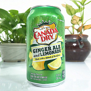 canada dry加拿大干姜柠檬味碳酸饮料汽水 ginger ale lemonade