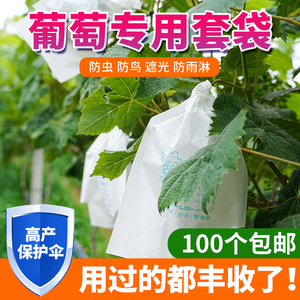 葡萄套袋专用袋阳光玫瑰葡萄袋防虫防鸟保护套袋包葡萄纸袋水果袋