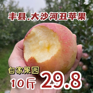 苹果水果徐州丰县大沙河红富士10斤特级脆甜野生冰糖心新鲜丑萍果