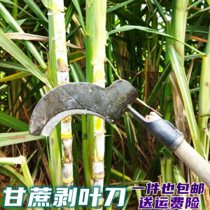 信诺开关电器淘宝新型锰钢甘蔗剥叶刀修整甘蔗叶农用神器手工剥叶