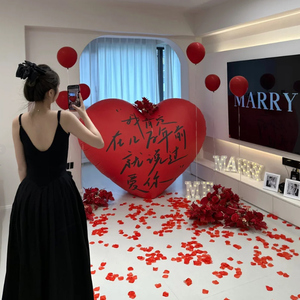 求婚布置套装网红室内爱心气球氛围道具表白浪漫生日场景装饰520