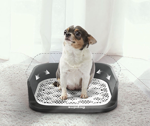 狗小号泰迪坐便器厕所便盆宠物拉屎用品屎尿盆狗狗上马桶幼犬小狗