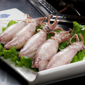 小鱿鱼有籽鲜活的鱿鱼仔 小海鲜水产吹筒仔 冰鲜海兔子