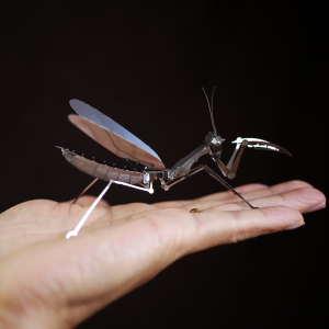 螳螂拼图立体3d拼装金属模型青少年玩具仿真动物益智学生生日礼物