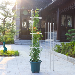 爬藤架月季室外庭院花卉支撑架杆植物支架花爬架爬藤花架2人付款44