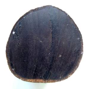 圆柱状内部黑色截面辐射状木头底座 不知名原木雕树种黑檀乌木