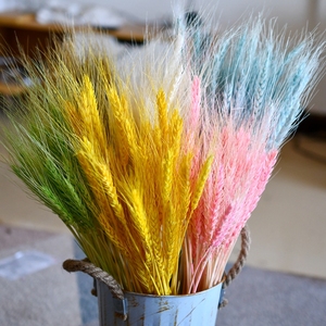 【麦穗50支一束】天然干花室内装饰大麦花束小麦拍摄道具家居艺术