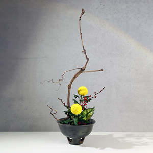 中式陶瓷花器中华花艺文人剑山插花器禅意创意梅花碗花盆器皿