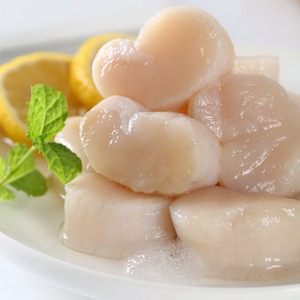 新鲜江瑶贝柱扇贝丁2斤鲜元贝特级大冷冻海鲜贝类干贝旗舰店辅食