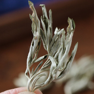 蕲河金艾干艾叶艾草陈艾蕲艾叶草艾灸艾绒男女老幼通用中药材大全