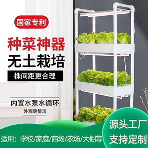 室内阳台立体无土栽培设备水培蔬菜种植箱种菜神器家庭水耕种植机