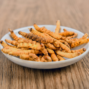 西藏那曲野生虫草干货纯肉节100克礼盒装冬虫夏草断草旗舰店正品