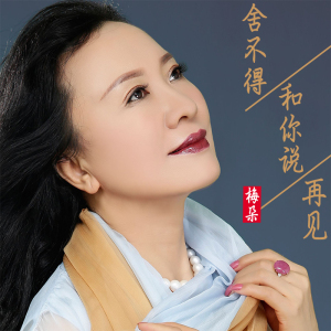 我是歌手车载cd