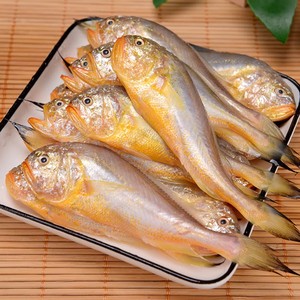 梅子鱼大连大头宝鱼新鲜冷冻梅童鱼4斤海鲜鲜活水产顺丰包邮