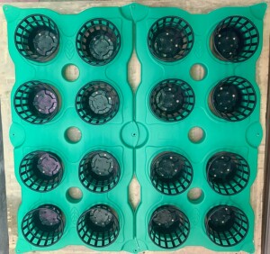 水上种植浮床生态浮岛水培蔬菜浮板人工水耕种菜绿化无土栽培设备
